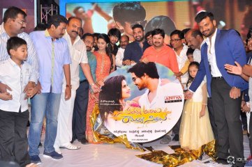 Seethamma Andaalu Raamayya Sithraalu Movie Audio Launch